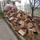 칠금동010 네이버블로그