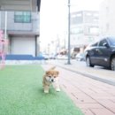 미스터앤 미세스멍 원주점 이미지