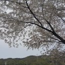 천년카페 이미지