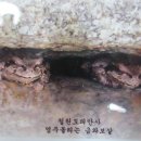 도피안사 - 1360 | 도피안사