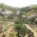 숲속