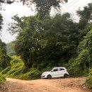 현대농원 이미지