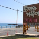카카오 이미지