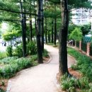 주식회사 케어로알엔디 네이버블로그