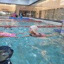 키즈웨일즈 이미지