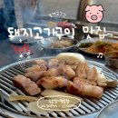 고깃집진가 | 제주봉개맛집 가족이랑 오기 좋은 봉개고깃집 야외 야장 연탄구이 후기