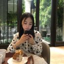와플러버 세계일보