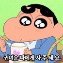 내돈내산 젤리추천 젤리자랑