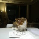 목암중학교 | [기록] 관광통역안내사 도전기 - 필기시험 합격, 한능검 1급 / 면접 to go