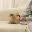 스테이 모량 이미지