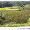 인영상사 이미지