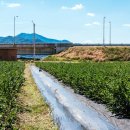 호국농장 이미지