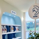 마레동물병원 이미지