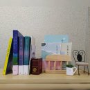 서귀포빛사랑안과의원 네이버블로그
