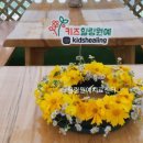 꽃차 힐링 테라피 이미지