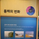 동해안자전거길 이미지