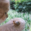 대흥약품(주) | 오아아아ㅏ앙