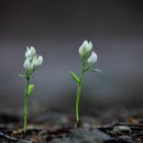 알봉 둘레길 이미지