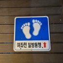 진해여자고등학교 | 2026년 제64회 진해군항제 여좌천 로망스다리 일요일 저녁 시간 방문 후기