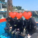 범섬풍경 | [제주/서귀포] 두려움에서 설렘으로, 제주체험다이빙 리뷰 _더퍼플스쿠버다이빙 범섬 다이빙 후기