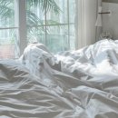 풍성이불집 이미지