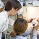 웨스턴 동물의료센터 이미지