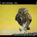 스파시스 이미지