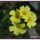 나비농장 이미지