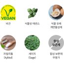 미소천사식품 | 누런 이 & 아침 구취 고민 끝! 애터미 브라이티스 민트향 치약 2주 사용 솔직후기 (비회원구매 꿀팁 포함)