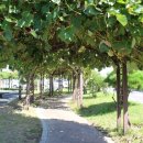 청림동-4 이미지