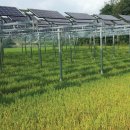태양농원 이미지