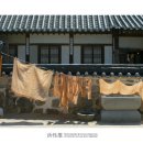 염색하기좋은날 이미지