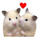 산포리민박 이미지