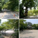 유스호텔 진입로  유스호텔 이미지