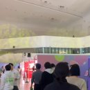 주영초등학교 | 사나이 2023년 올리브영 어워즈 페스타 후기