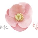 에이치샵피부하우스 이미지
