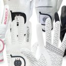 골프 팩트 이미지