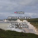 오케이세븐 | 세븐시스터즈 투어 4종 비교｜런던소풍 vs 솔앤비 vs 빨간바지 vs 오케이런던 어디가 좋을까