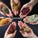 퍼스널 아로마 감정오일테라피 이미지