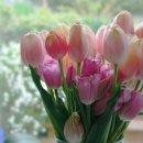 천년의 하루 이미지