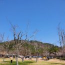 한국프렌지앞 이미지