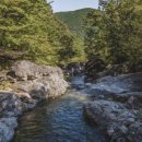 제714차(8/1) 산청 수양산(502m) 백운동 계곡 산행 이미지