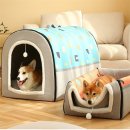 옐로우 켄넬 이미지