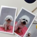 경기도 수원시 팔달구 세지로244번길 이미지