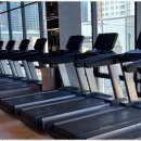 드래곤짐 이미지