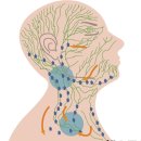 디모풋앤바디 이미지