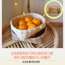 단산면 주민자치센터 | 제주 서귀포 라탄차롱만들기 신례초지역사회프로그램 단체출강 후기