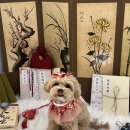 헬로우버디 분당점 이미지