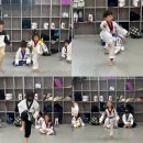 다원태권도장 이미지