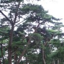 우정sea 이미지